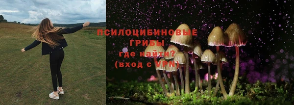 ALPHA PVP Алзамай