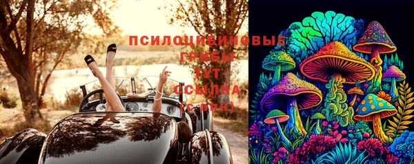 PSILOCYBIN Алексин