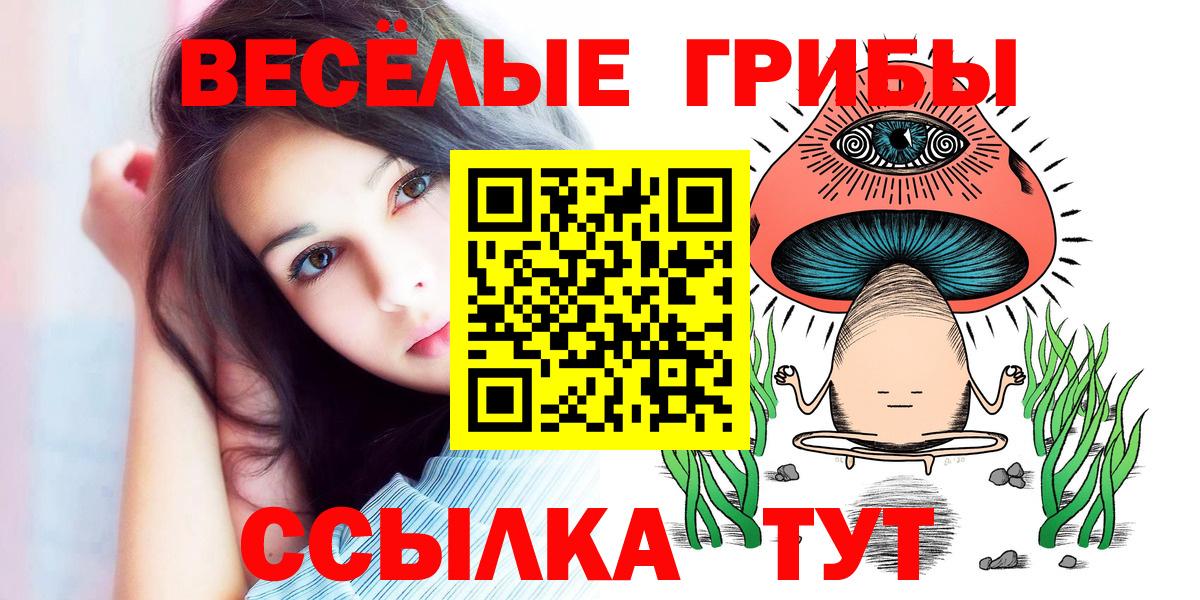 Псилоцибиновые грибы GOLDEN TEACHER  Вход с VPN  Чебаркуль 